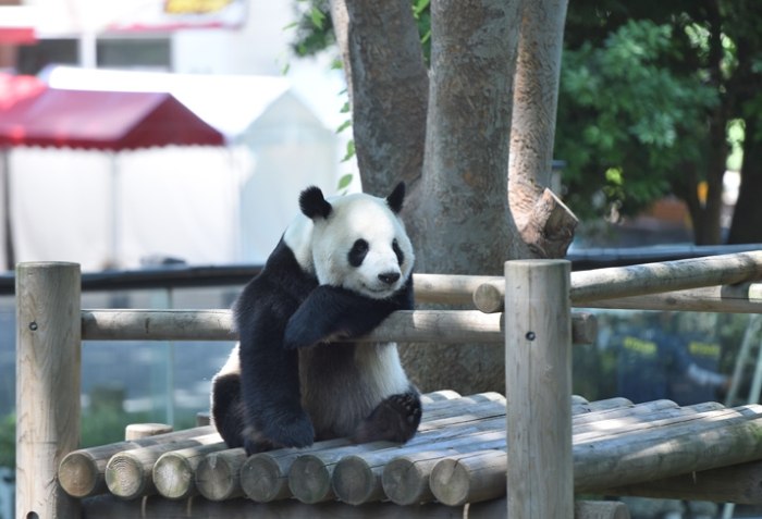 日本親子景點 日本親子景點