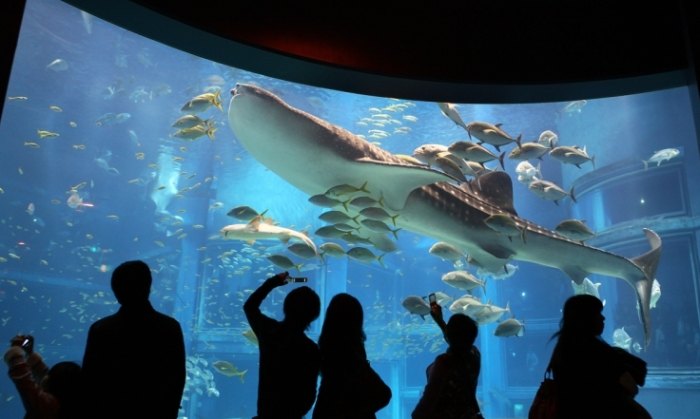 日本親子景點 日本親子景點