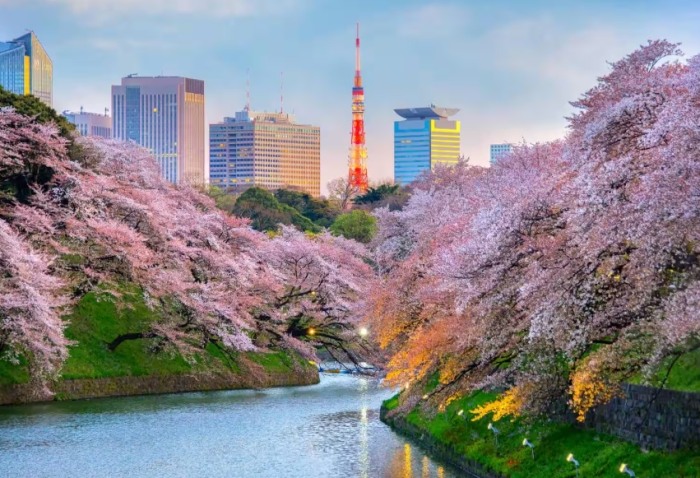 東京景點地圖