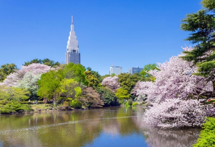 東京景點